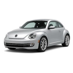 Beetle