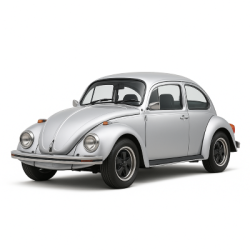 Beetle