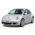 New beetle (06-10)