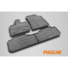 Gumijas auto paklāji BYD SEAL U DM-i (2023-...) RIGUM, melni