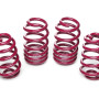 Audi A4, tips 8E, Avant, 3.0, 1.9 TDI (10.2001 - 03.2008) Sēdinātas atsperes 40 / 40 mm, 950006