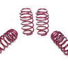 VW Passat, tips 3C, Variant (08.2005 - 10.2014) Sēdinātas atsperes 40 / 40 mm, 956176