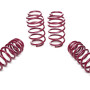 VW Passat, tips 3C, Variant (08.2005 - 10.2014) Sēdinātas atsperes 40 / 40 mm, 956176