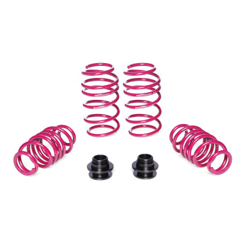 Audi A3, tips GY, from 1010 kg VA, only twist-beam rear axle (03.2020 - ) Regulējamās sēdinātās atsperes 45 / 30 - 55 mm, 930006