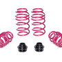 VW Golf VIII, tips CD, from 1010 kg VA, only twist-beam rear axle (1.12.19 - ) Regulējamās sēdinātās atsperes 45 / 30 - 55 mm, 930006