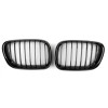 BMW x5 e53 (99-04) reste, glancēti melna