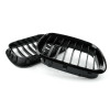 BMW x5 e53 (99-04) reste, glancēti melna