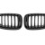 BMW X5 e70/X6 e71 (06-13) grill, glossy black