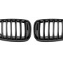 BMW X5 e70/X6 e71 (06-13) grill, glossy black