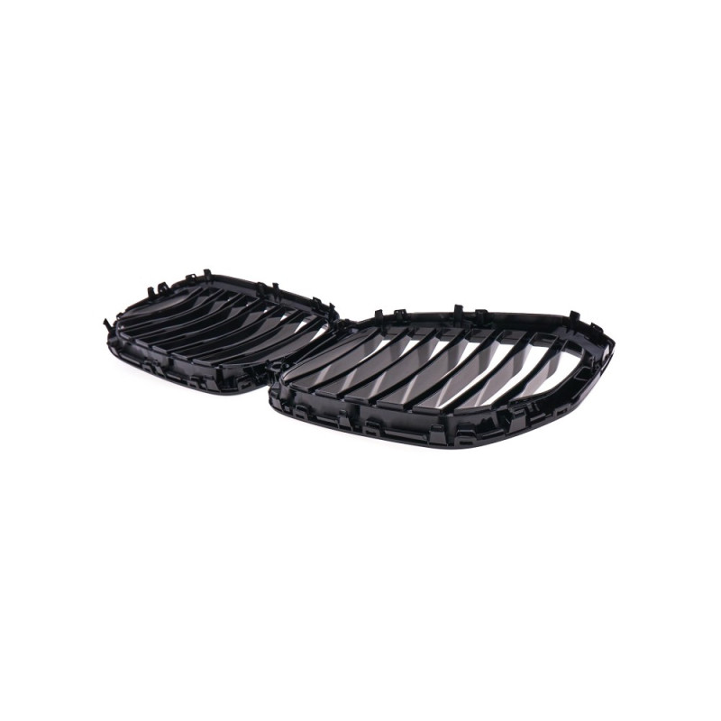 BMW X5 g05 (18-) grill, glossy black 