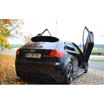 Audi A3 8P (03-08) LSD