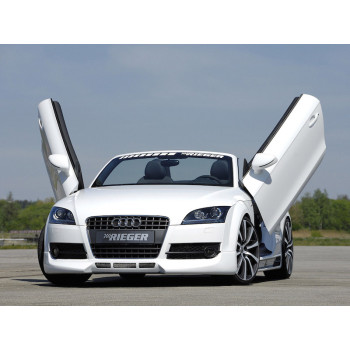 Audi TT 8J (06-) LSD