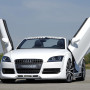 Audi TT 8J (06-) LSD