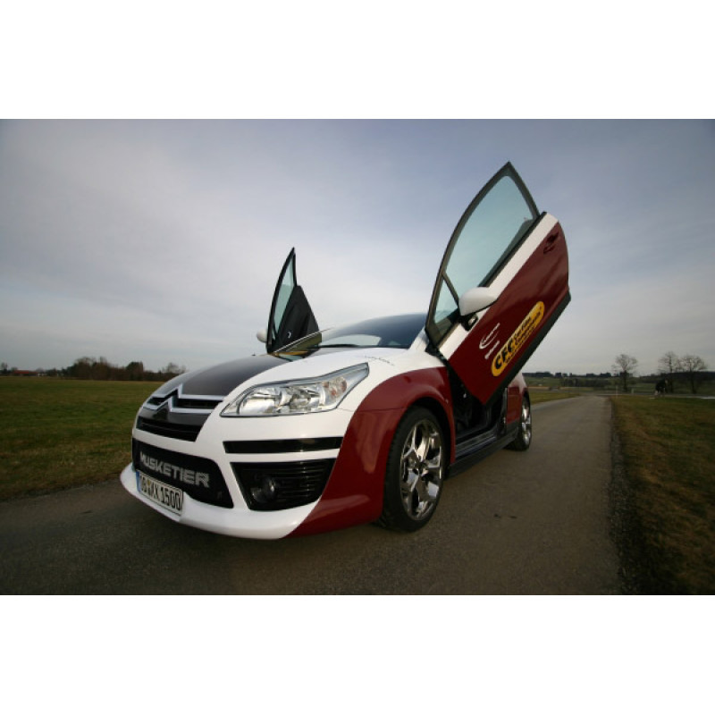 Citroen C4 (04-) LSD