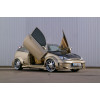 Ford Focus 3D (98-04) LSD