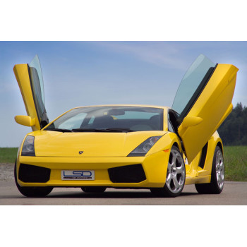 Lamborghini Gallardo (03-) LSD