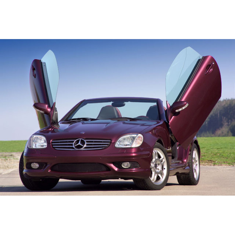 Mercedes r170 (96-) LSD