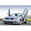 Mercedes r171 (04-) LSD