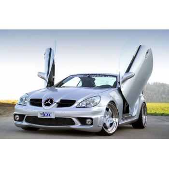 Mercedes r171 (04-) LSD