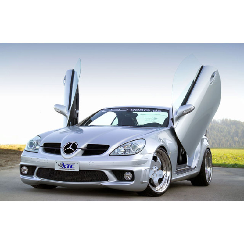 Mercedes r171 (04-) LSD