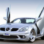 Mercedes r171 (04-) LSD