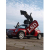 Mini (01-) LSD