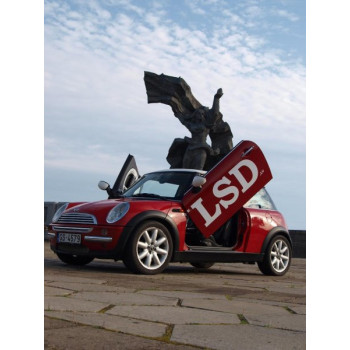 Mini (01-) LSD