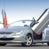 Peugeot 307CC (03-) LSD