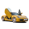 Porsche Boxster (04-), Cayman (06-) LSD