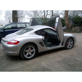 Porsche Boxster (04-), Cayman (06-) LSD