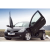 Renault Clio (05-) LSD