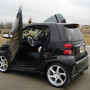 Smart Fortwo (02-04) LSD