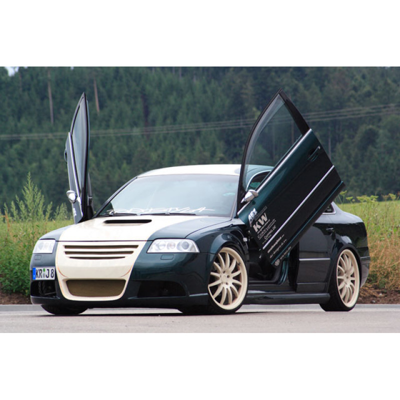 VW Passat (96-05) LSD